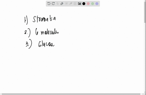 across-how-carbon-dioxide-enters-and-oxygen-leaves-the-leaf-of-a-plant-the-number-of-carbon-dioxide-you-need-for-the-calvin-cycle-t0-make-sugar-molecule-this-product-f-photosynthesis-i-used-47974