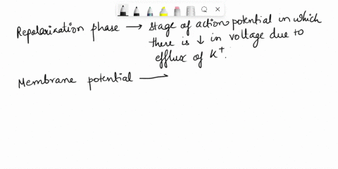 multiple-choice-questions-1-what-causes-the-membrane-potential-to-return-to-the-normal-negative-value-during-the-repolarization-phase-of-an-action-potential-select-one-a-closing-of-voltage-g-31562