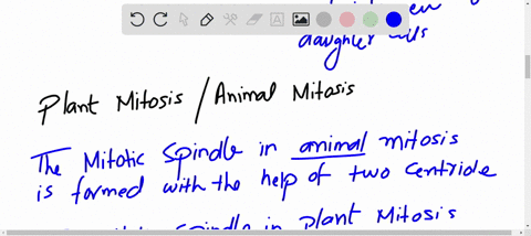 1-what-is-mitosis-and-how-does-it-relate-to-cell-cycle-what-are-the-differences-between-plant-mitosis-and-animal-mitosis-2-list-all-key-stages-of-the-cell-cycle-which-of-the-stages-of-the-ce-06403