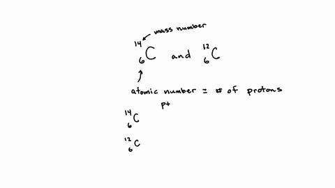 how-does-14c-carbon-14-differ-from-c12-carbon-12-a-carbon-14-has-two-more-neutrons-than-carbon12-does-b-carbon-14-has-14-neutrons-whereas-carbon12-has-12-neutrons-c-carbon-14-has-14-more-pro-50642