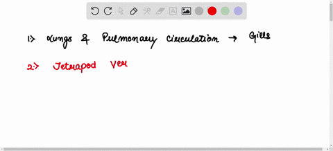 33-questions-explain-how-the-pulmonary-circuit-shows-vertebrate-adaptations-to-life-on-land-2-which-vertebrate-classes-are-fully-adapted-to-a-terrestrial-lifestyle-3-what-anatomical-feature-03128