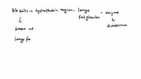 bile-salts-bind-at-their-hydrophobic-regions-to-large-fat-globules-within-the-chyme-that-enters-the-duodenum-bile-salts-break-up-the-fat-globule-into-smaller-fat-droplets-this-role-of-bile-s-91557
