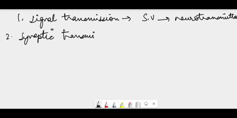 describe-the-role-of-neurotransmitters-in-the-function-of-neurons-08966