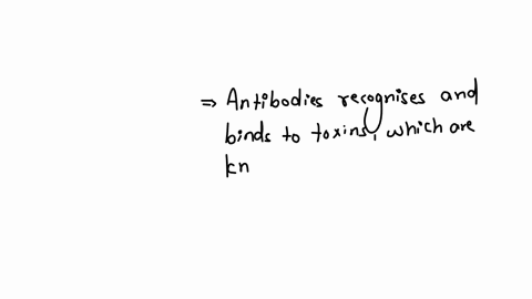 question-20-25-points-antibodies-bind-to-toxins-and-prevent-the-toxin-from-binding-to-a-cell-agglutination-neutralization-opsonization-complement-activation