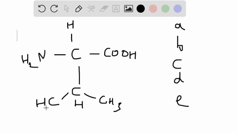 which-amino-acids-have-a-branched-side-chain-selected-answer-val-leu-met-answers-val-leu-met-ile-leu-ala-alaile-pro-leui-glv_vall-ile-leuval-65072