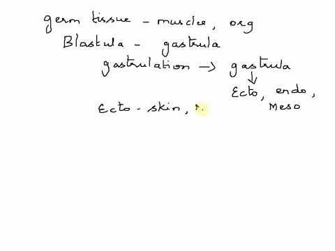 the-germ-tissue-layer-in-the-developing-embryo-that-eventually-becomes-the-muscles-and-some-organs-of-an-adult-animal-is-the-ectoderm-endoderm-mesoderm-neuroderm-pleisoderm-32552