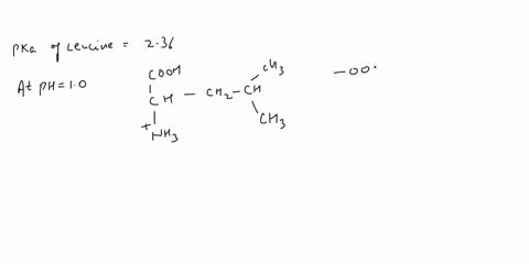 the-amino-acid-leucine-has-pk-values-of-236-for-the-carboxylic-acid-group-and-60-for-the-amino-group_-imag-es-of-alanine-like-that-shown-below-are-common-on-the-interet-but-are-they-chemical-75637