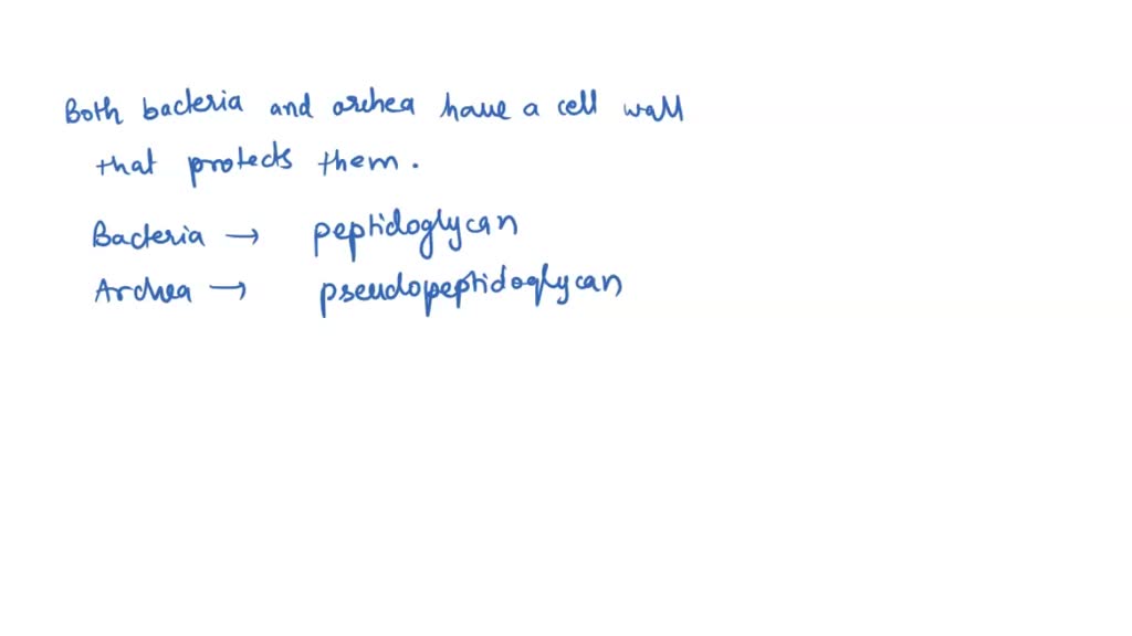 SOLVED Which statement is FALSE regarding bacterial and archaeal cells