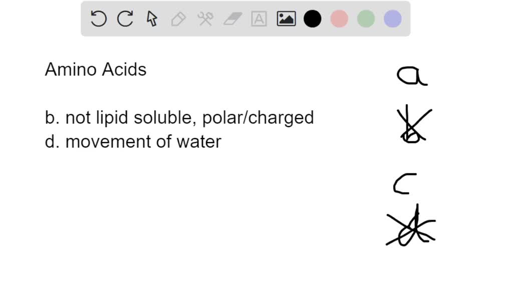 SOLVED Amino acids are absorbed via Multiple Cholce active absorption; passive diffusion