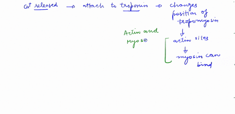 number-the-following-events-of-skeletal-muscle-contraction-in-the-proper-ordcr-with-number-or-the-first-event-and-number-for-the-last-event-a-power-stroke-occurs-as-myosin-moves-inlo-its-rel-32937
