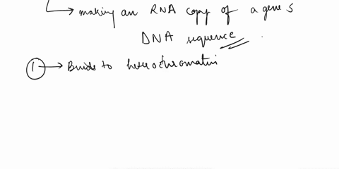 general-transcription-factors-in-eukaryotes-bind-to-heterochromatin-and-change-its-conformation-to-euchromatin-can-initiate-transcription-even-if-rna-polymerase-is-sbsent-bind-to-the-tata-bo-63663