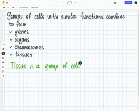 groups-of-cells-with-similar-functions-combine-to-form-genes-organs-chromosomes-tissues