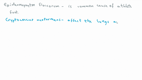 this-organism-was-isolated-from-a-skin-scraping-of-a-patient-with-athletes-foot-epidermophyton-floccosum-cryptococcus-neoformans-trichophyton-rubrum-microsporum-canis