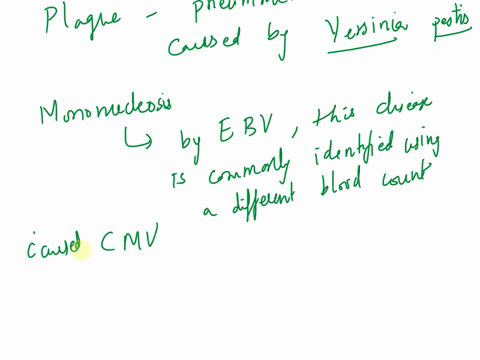 ter20-assessment-i-saved-drag-the-statements-or-images-to-the-correct-disease-category-to-examine-the-spectrum-of-cardiovascular-and-lymphatic-system-diseases-caused-by-microorganisms-subacu-46782