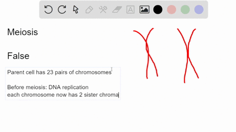 each-daughter-cell-at-the-end-of-meiosis-i-in-spermatogenesis-still-contains-46-chromosomes-true-false-89493