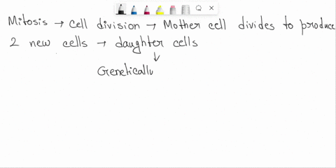 each-daughter-cell-resulting-from-mitotic-cell-division-has-the-exactly-same-genetic-composition-each-daughter-cell-resulting-from-mitotic-cell-division-has-the-exactly-same-genetic-composit-93933