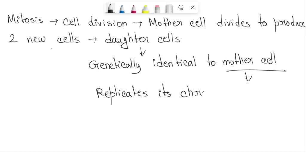 SOLVED: Text: Cell division by mitosis separates homologous chromosomes ...