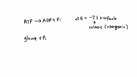 now-lets-see-if-given-speofic-delta-g-values-you-can-predict-whether-a-particular-cospled-chemical-reaction-can-occur-framine-the-following-these-reactions-and-their-a-g-values-begintabularcc-hline-he