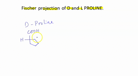 fischer-projection-of-d-and-l-proline-44108