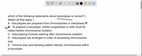 which-of-the-following-statements-about-karyotypes-is-correct-select-all-that-apply-a-karyotypes-are-prepared-from-chromosomes-in-interphase-b-to-prepare-a-karyotype-mitotic-progression-in-c-99386
