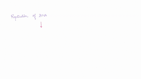 true-or-false-when-bidirectional-replication-forks-from-adjacent-origins-meet-leading-strand-always-runs-into-lagging-strand-explain-your-answer-a-diagram-might-help-true-or-false-dna-repair-10501