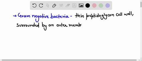 outline-the-structure-and-functions-of-gram-negative-and-gram-positive-bacteria-cell-wall-71164
