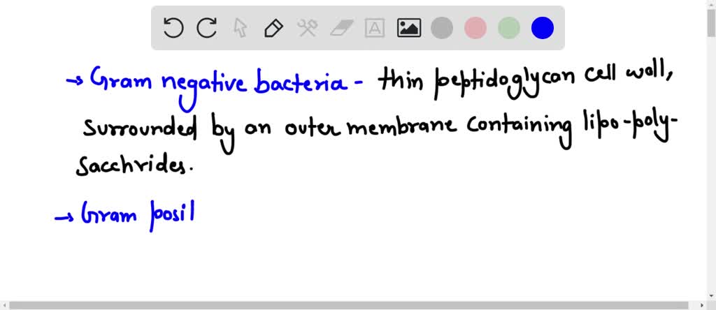 SOLVED: Describe in detail the structure of the cell wall and membrane ...