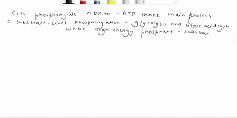 describe-the-three-ways-that-cells-phosphorylate-adp-to-make-atp-56322