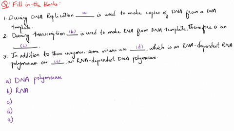 resec-help-rna-polymerase-during-dna-replication_-is-used-to-make-copies-of-dna-from-dna-template-it-is-ribosomes-therefore-considered-dna-dependent-dna-polymerase-rna-dependent-dna-polymera-66189