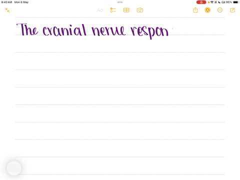 what-cranial-nerve-helps-detect-taste-on-the-posterior-13-of-the-tongue