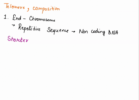 what-are-telomeres-what-is-the-sequence-composition-of-telomeres-how-does-telomerase-assemble-telomeres-why-is-telomerase-active-in-germ-line-cells-but-not-in-somatic-cells-how-are-rna-prime-15373