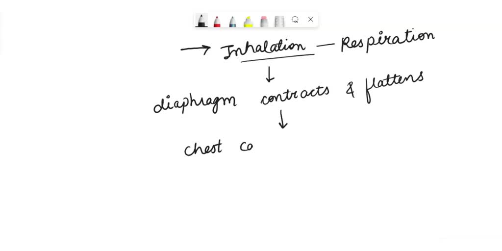 SOLVED a. What happens to the volume of the thoracic cavity when the