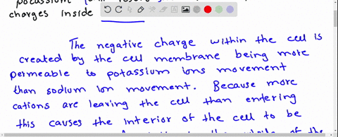 explain-why-the-action-of-sodium-potassium-will-result-in-a-buildup-of-negative-charges-inside-the-cell-52661