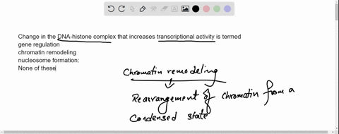 question-7-1pts-change-in-the-dna-histone-complex-that-increases-transcriptional-activity-is-termed-gene-regulation-chromatin-remodeling-nucleosome-formation-none-of-these-33442