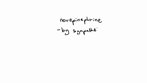 which-neurotransmitter-controls-the-heart-rate-and-blood-pressure-norepinephrine-acetylcholine-serotonin-dopamine