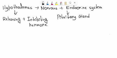 the-hypothalamus-and-pituitary-link-the-activities-of-the-endocrine-system-and-nervous-system-by-shifts-in-hormonal-concentratlons-being-detected-by-the-anterlor-pitultary-neurohormones-bein-60454