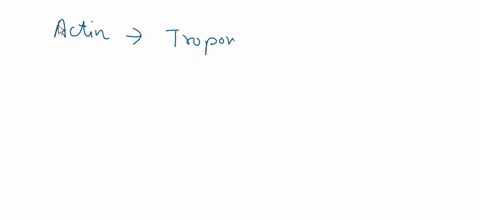 during-muscle-contraction-ca-is-released-from-the-sarcoplasmic-reticulum-what-is-this-ca-doing-a-the-ca-is-binding-to-the-actin-this-results-in-the-release-of-tropomyosin-from-the-myosin-bin-40106