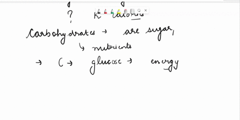 one-teaspoon-of-sugar-provides-4g-of-carbohydrates-and-about-how-many-kcalories-a-32-b-70-c-8-d-16-e-48-55018