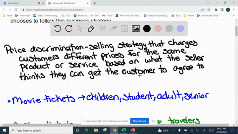 give-two-examples-of-price-discrimination-in-each-case-explain-why-the-monopolist-chooses-to-follow-this-business-strategy-94048