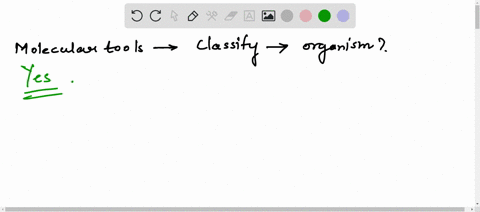 can-we-use-recent-molecular-tools-to-identify-and-classify-the-organism-11446