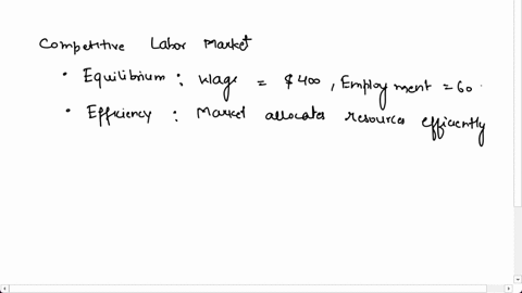 texts-a-competitive-labor-market-has-an-inverse-supply-for-labor-function-of-w-100-5l-where-w-represents-output-in-a-competitive-market-where-p-5-is-the-wage-paid-per-unit-of-labor-l-hired-t-11868