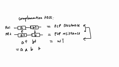 your-graduate-student-has-isolated-ten-mutations-a-j-that-cause-resistance-to-the-drug-pcp-in-flies-she-begins-characterizing-these-mutations-by-performing-complementation-tests_-the-results-12382