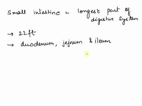 which-of-the-following-is-stimulated-by-over-distention-of-the-small-intestine-wall-multiple-choice-segmentation-release-of-mucus-peristaltic-rush-release-of-secretin-43077