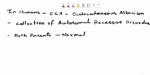 in-humans-oculocutaneous-oca-albinism-is-a-collection-of-autosomal-recessive-disorders-characterized-by-an-absence-of-the-pigment-melanin-in-skin-hair-and-eyes-that-is-normal-pigmentation-a-29783