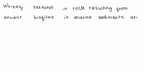 true-or-false-wrinkly-textures-in-rock-that-formed-from-ancient-biofilms-living-in-marine-sediment-2-60183