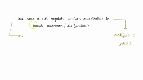 from-cell-biology-how-does-a-cell-regulate-protein-concentration-to-impact-mechanismscell-functions-why-is-this-important-for-a-cell-to-increase-or-decrease-the-level-of-a-specific-protein-i-60508