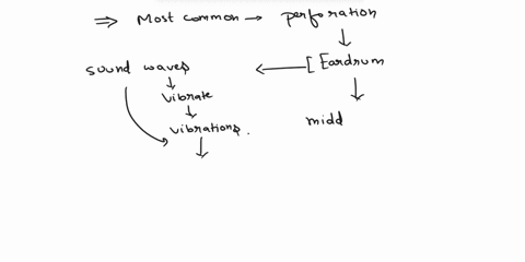 the-most-common-cause-of-perforation-of-the-highlighted-structure-is-middle-ear-infection-exposure-to-excessively-loud-sounds-flying-in-an-airplane-at-high-altitude-damage-from-a-cotton-swab-50431
