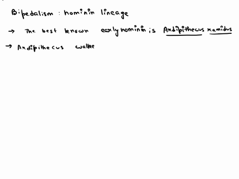 bipedalism-is-a-defining-characteristic-of-the-hominin-lineage-what-is-one-characteristic-of-ardipithecus-that-is-unlike-any-other-bipeds-82752