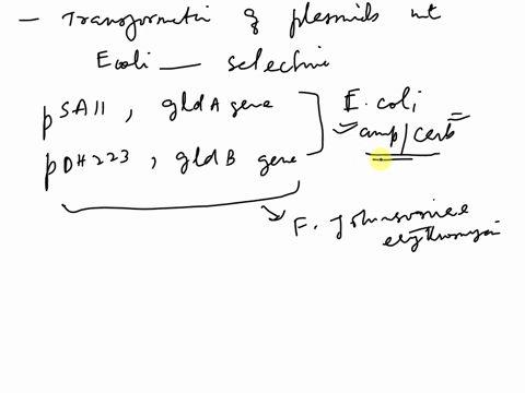 we-performed-an-experiment-where-we-determined-which-gene-was-mutated-and-responsible-for-causing-our-gliding-bacterium-flavobacterium-johnsoniae-to-lose-its-motility-we-did-this-by-performi-35086