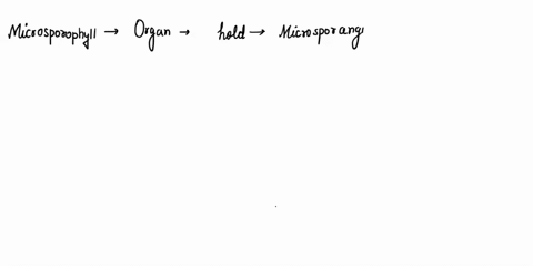 what-is-the-difference-between-microsporangium-and-microsprophyll-96641